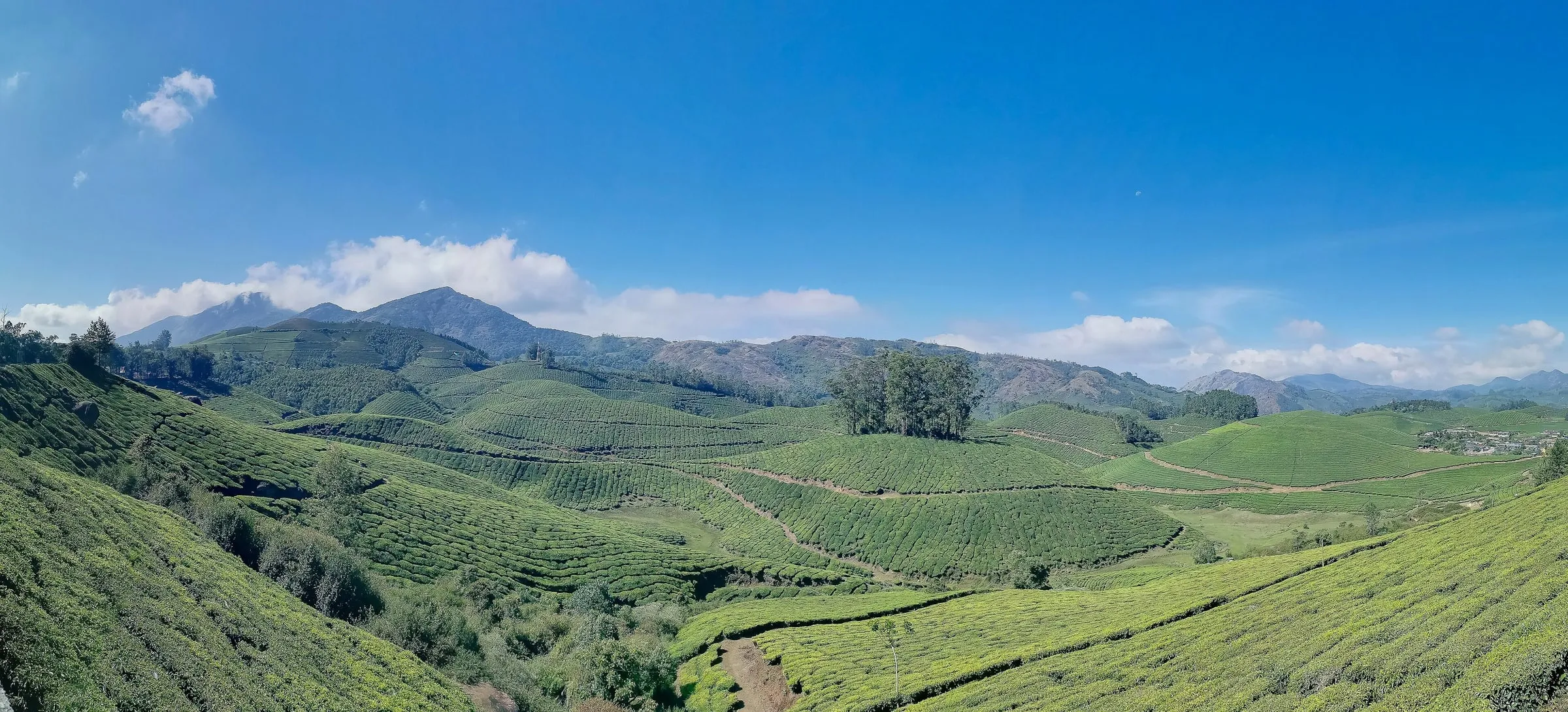 Munnar, Kerala