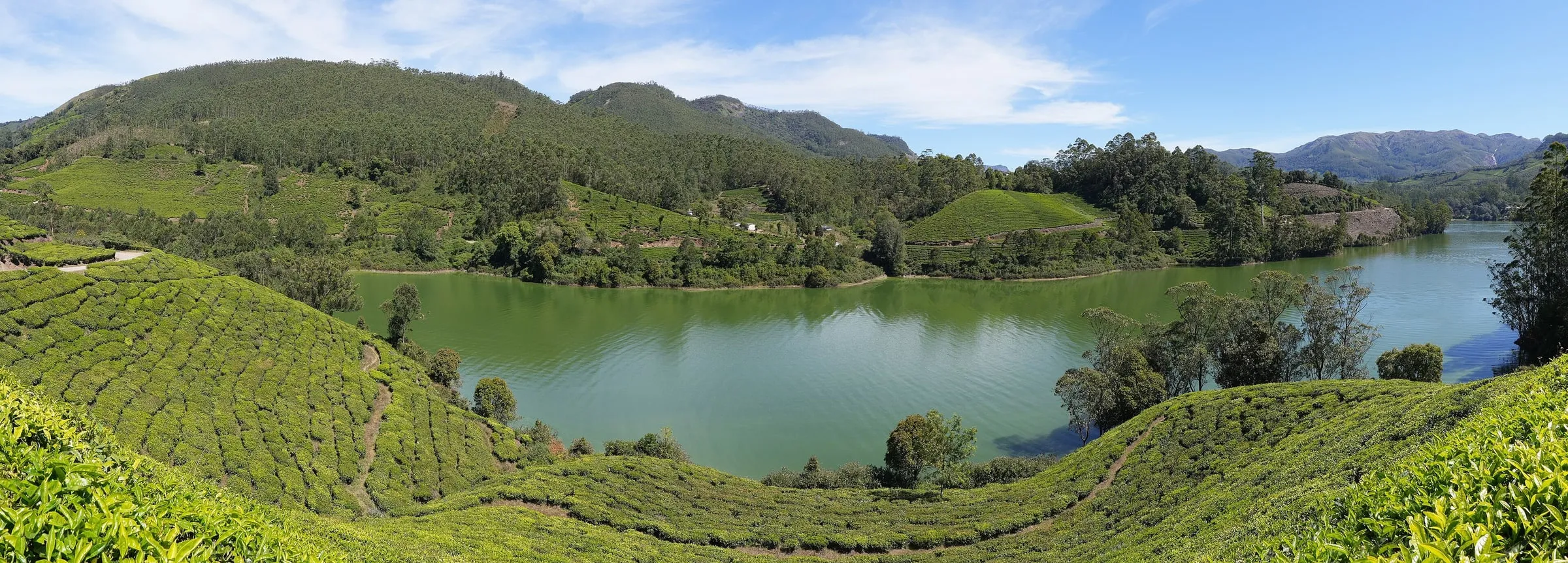 Munnar photo 3