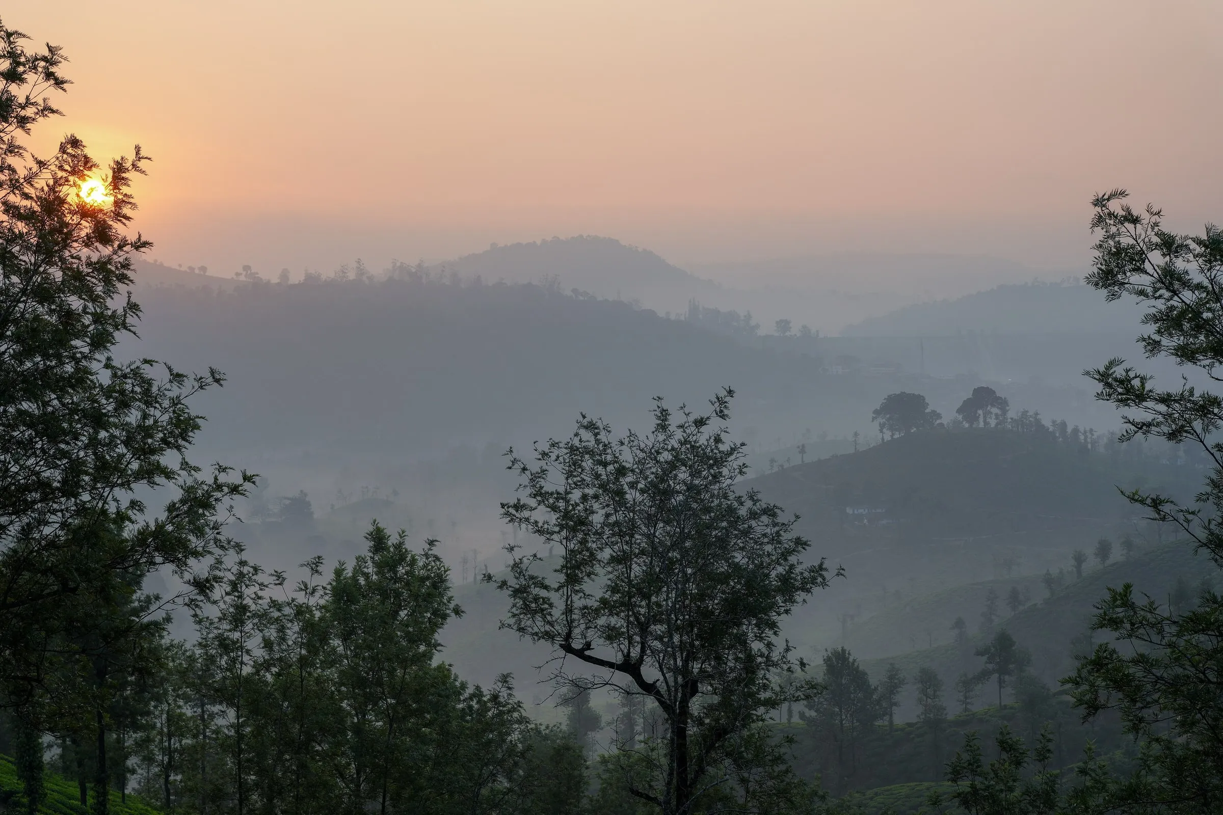 Valparai photo 3