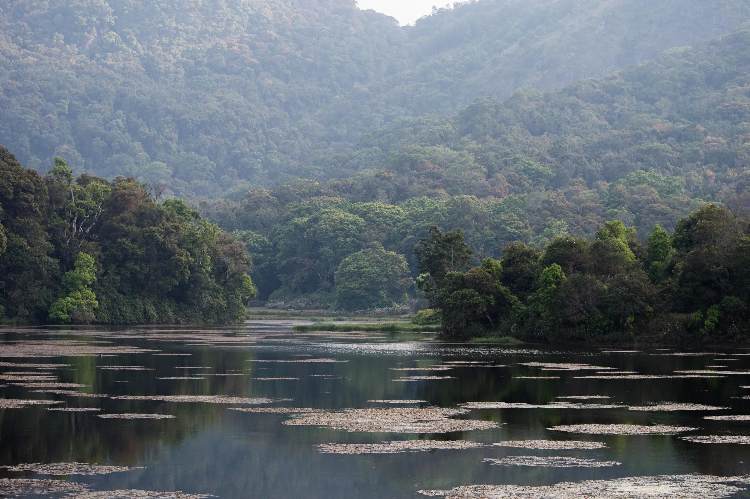 Kodaikanal photo 4